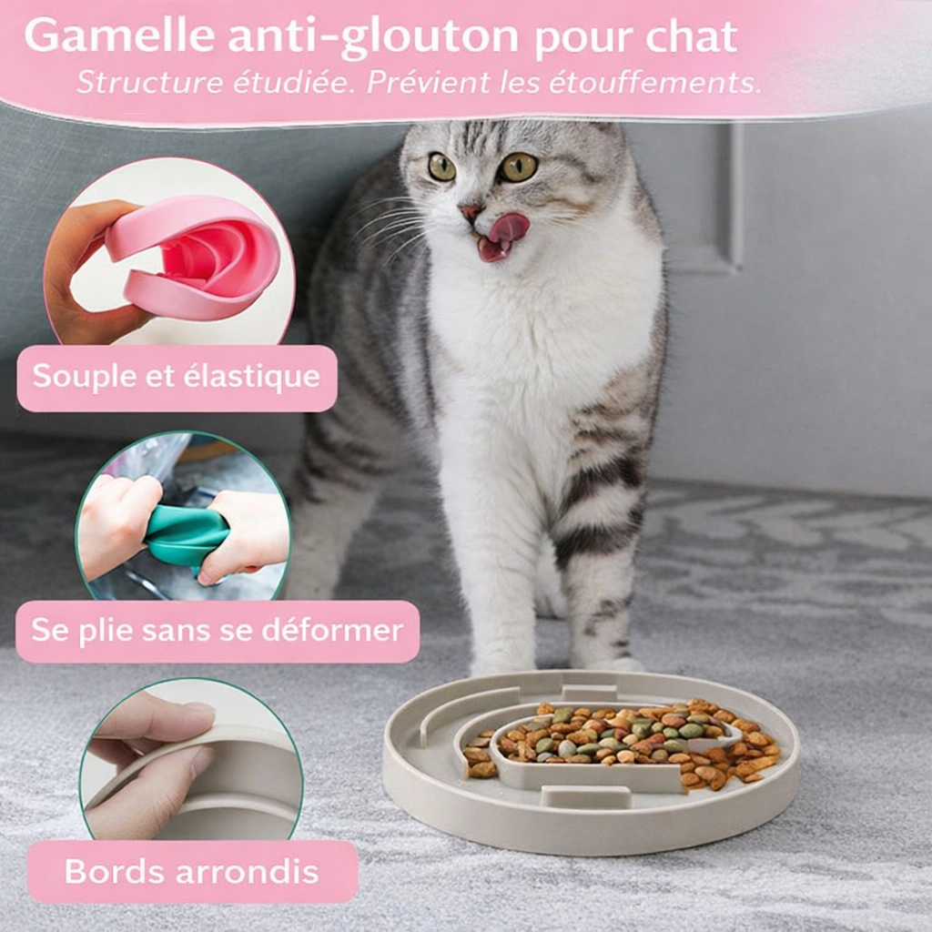 Gamelle anti-glouton pour chat