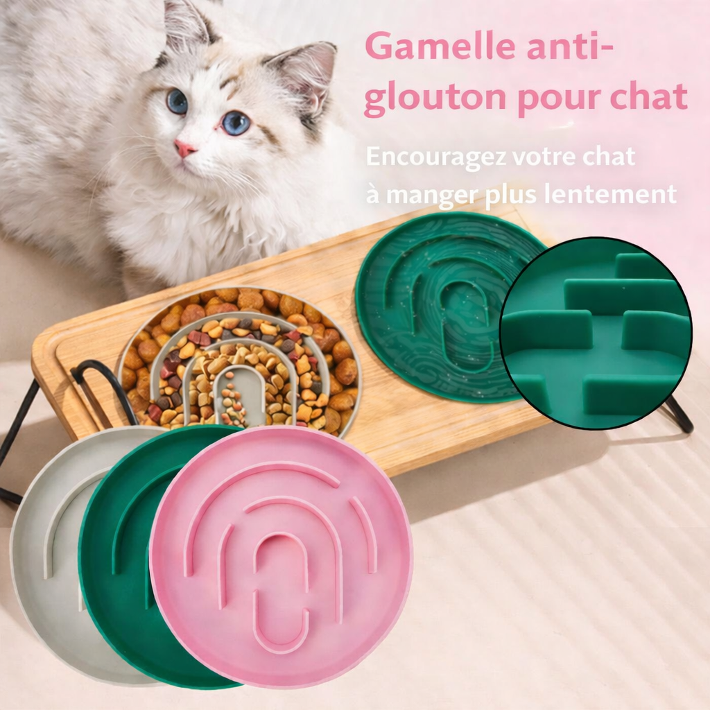 Gamelle anti-glouton pour chat
