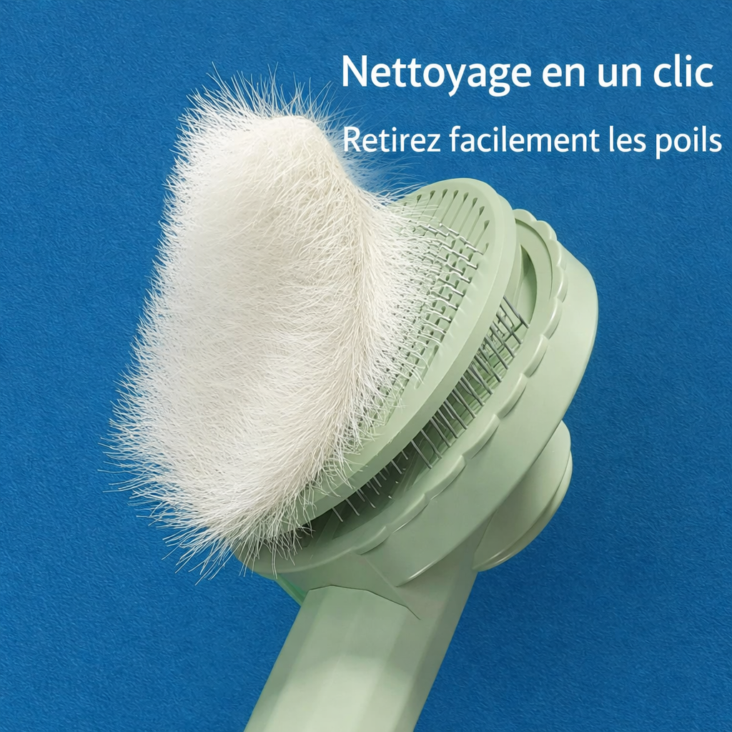 Brosse douce pour chat pour entretenir le pelage