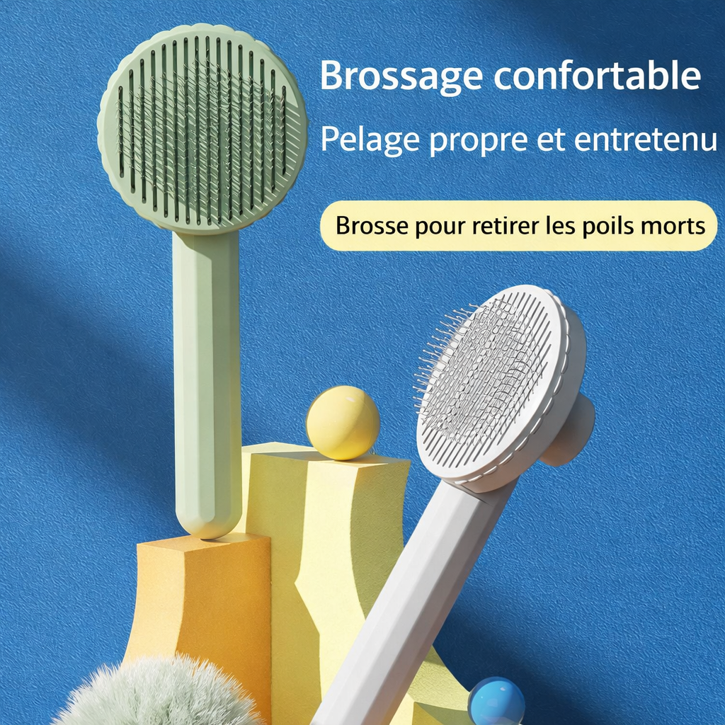 Brosse douce pour chat pour entretenir le pelage