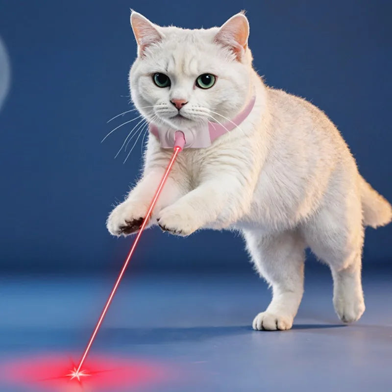 Collier laser interactif pour chat