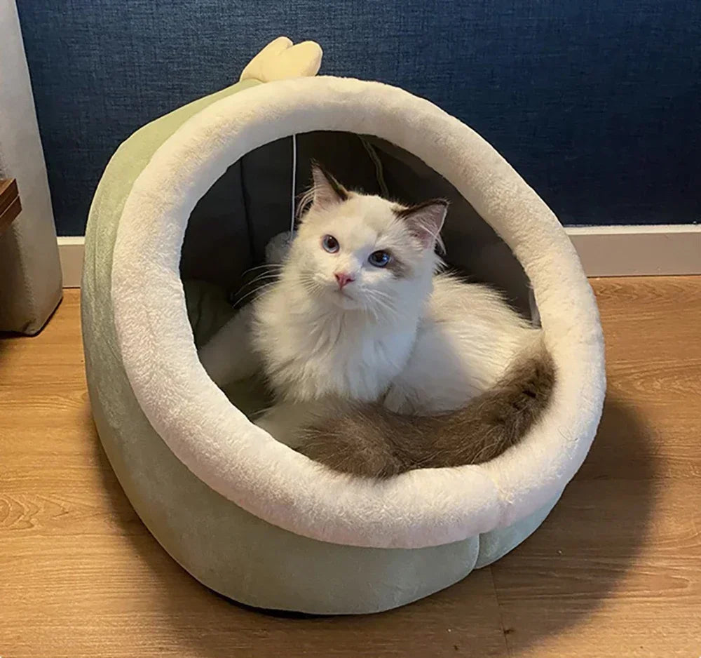 Maison douce et confortable pour chat