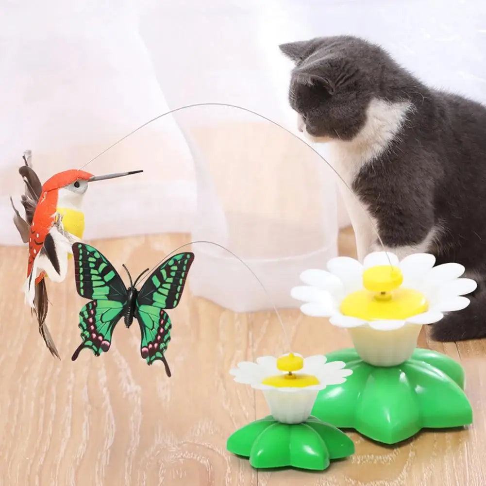 Jouet papillon interactif automatique pour chat
