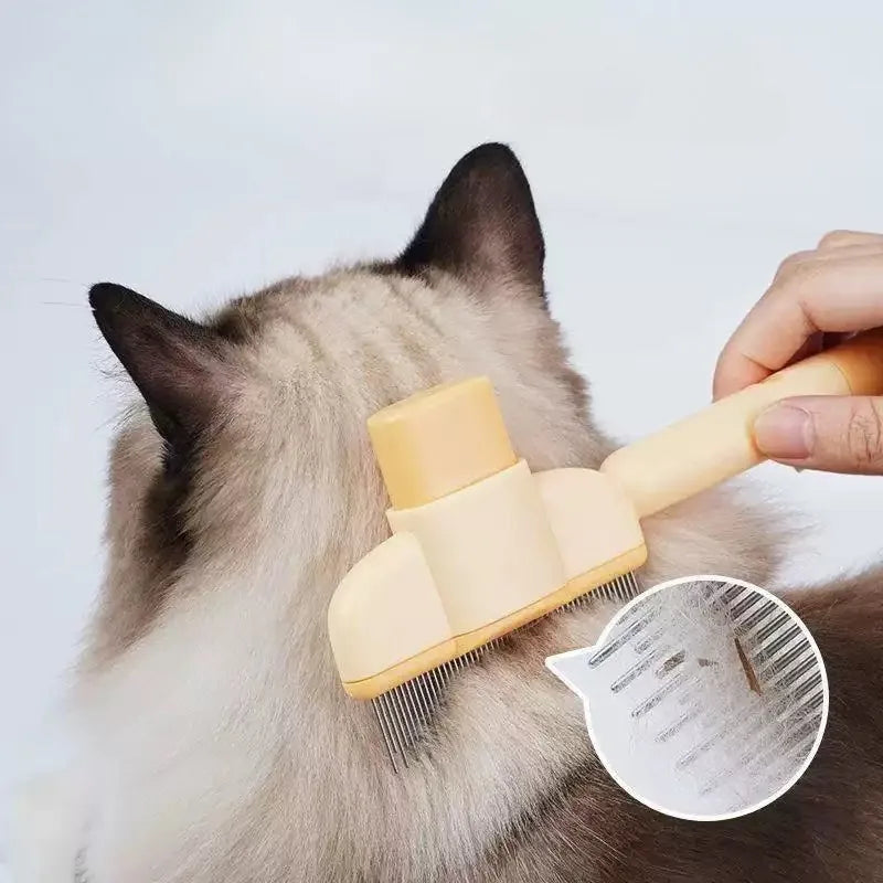 Brosse pour chat qui retire les poils en douceur