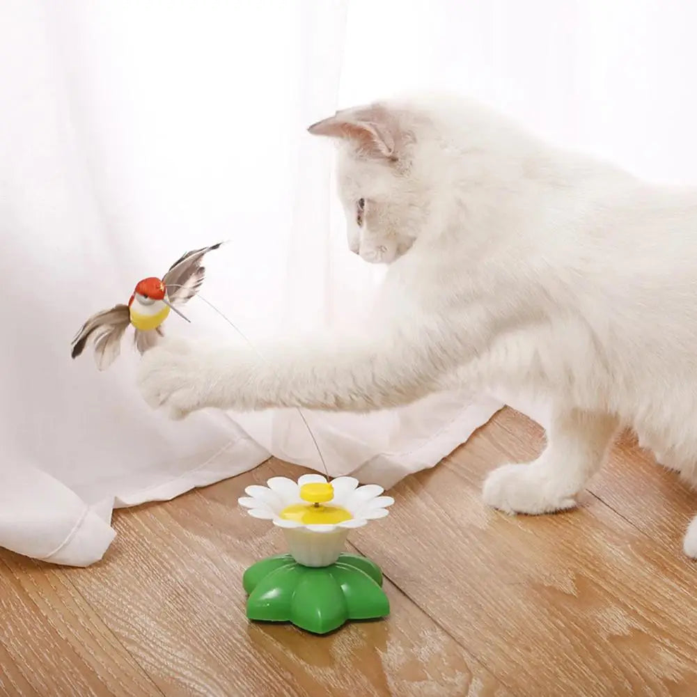 Jouet papillon interactif automatique pour chat