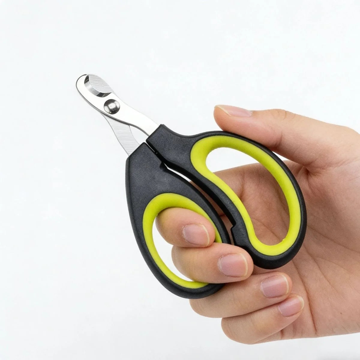 Coupe-ongles pour chat