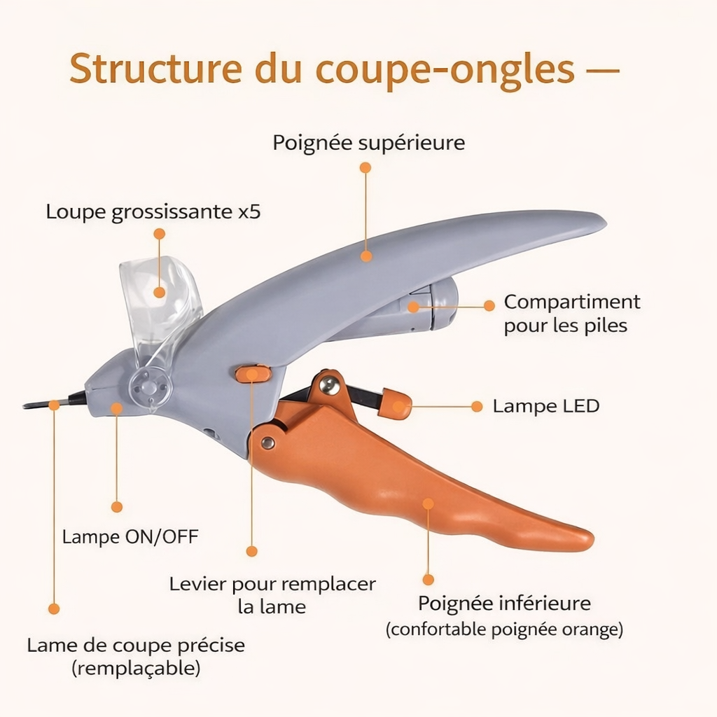 Coupe-ongles pour chat avec lumière LED sécurisée